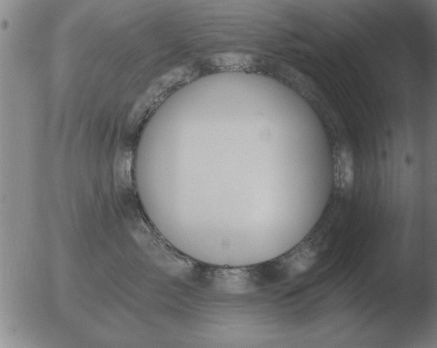 X0000051920717200507082055