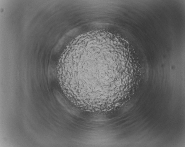 X0000051920718200507082055