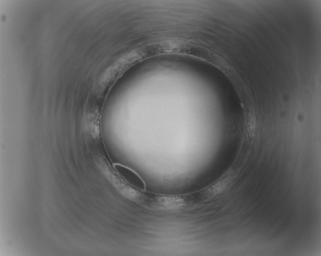 X0000051920719200507082055