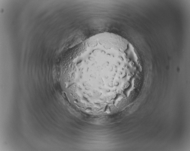 X0000051920720200507082055