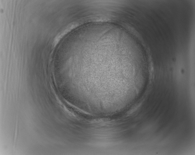 X0000051920721200507082054