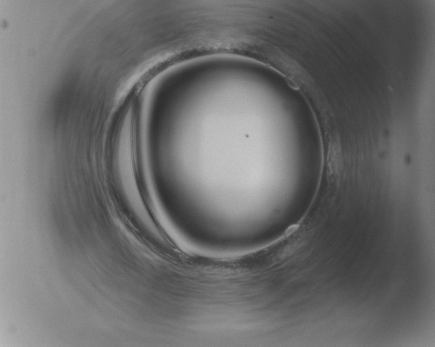 X0000051920722200507082054