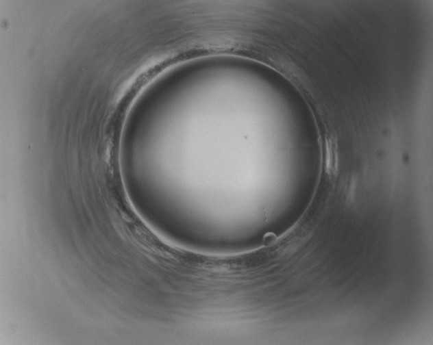 X0000051920723200507082054