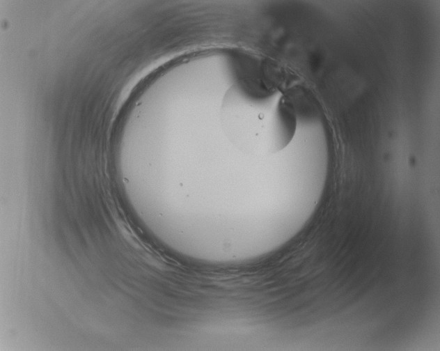 X0000051920724200507082054