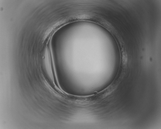 X0000051920725200507082054