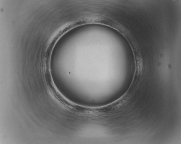 X0000051920726200507082054