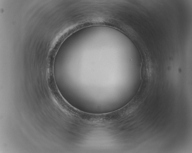 X0000051920728200507082054