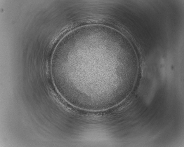 X0000051920729200507082054