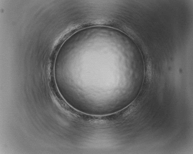 X0000051920730200507082054