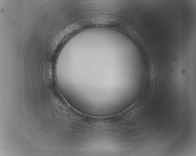 X0000051920731200507082054