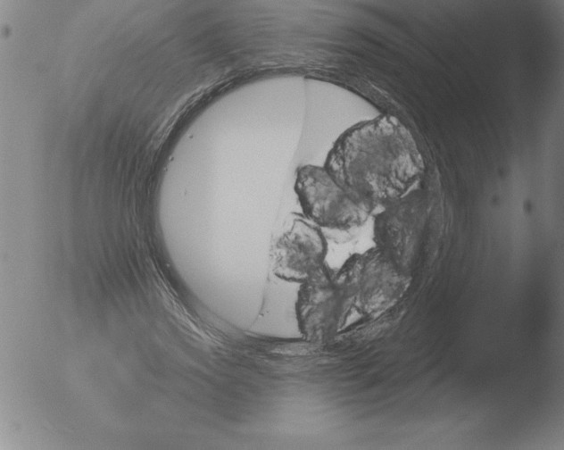 X0000051920733200507082054