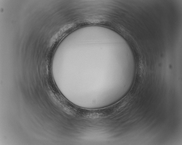 X0000051920734200507082054