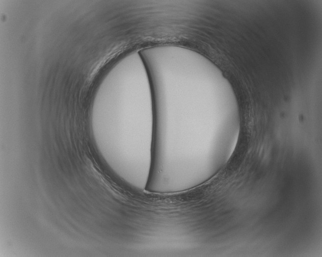 X0000051920735200507082054