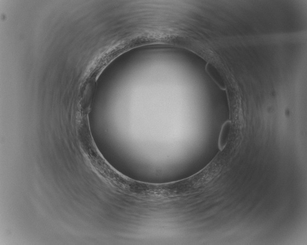 X0000051920736200507082054