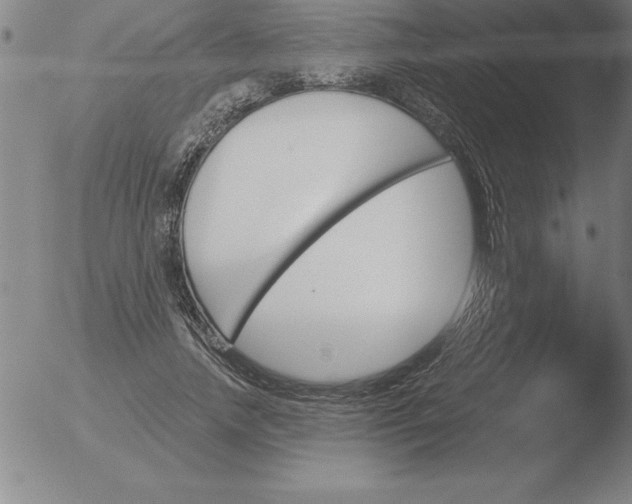 X0000051920738200507082054