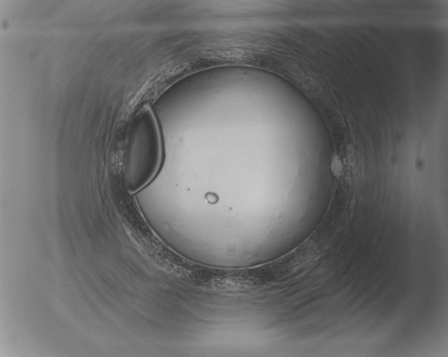 X0000051920739200507082054