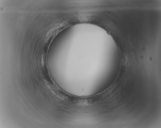 X0000051920740200507082054