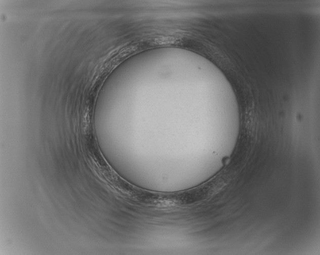 X0000051920741200507082054