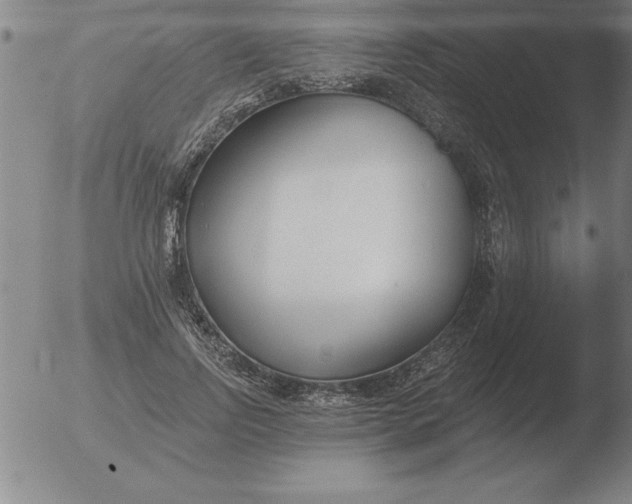 X0000051920742200507082054