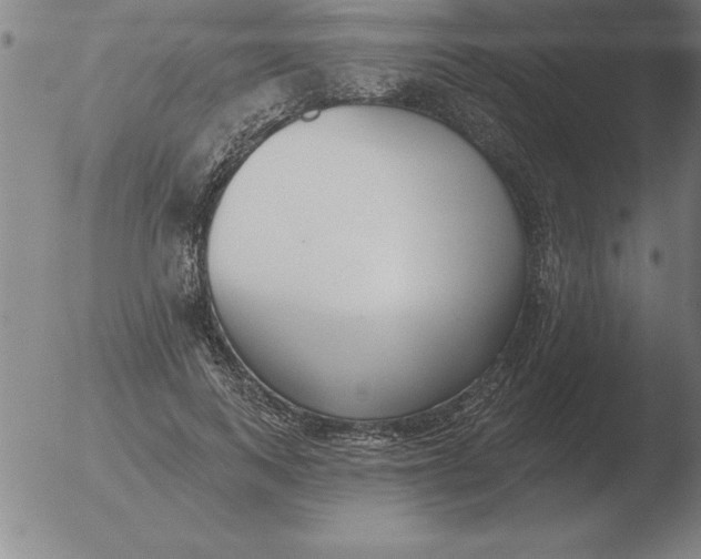 X0000051920743200507082054