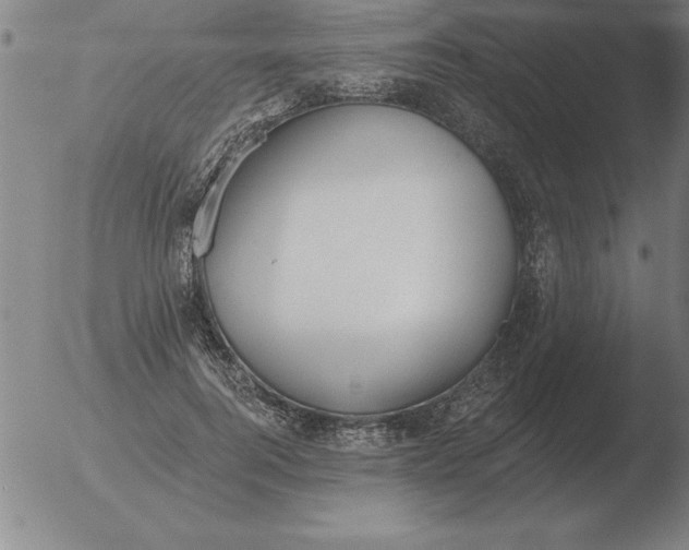 X0000051920744200507082054