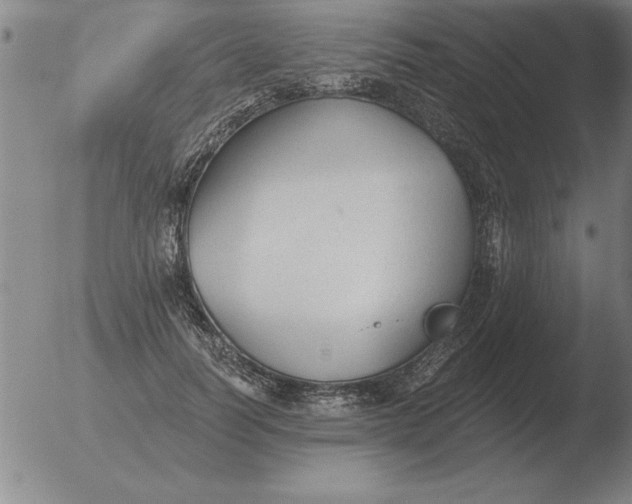 X0000051920746200507082054