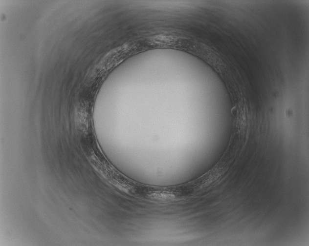 X0000051920749200507082054