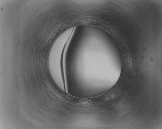 X0000051920750200507082054