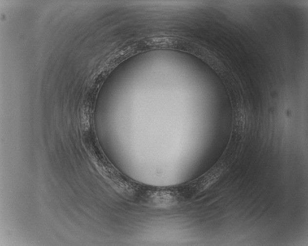 X0000051920751200507082054