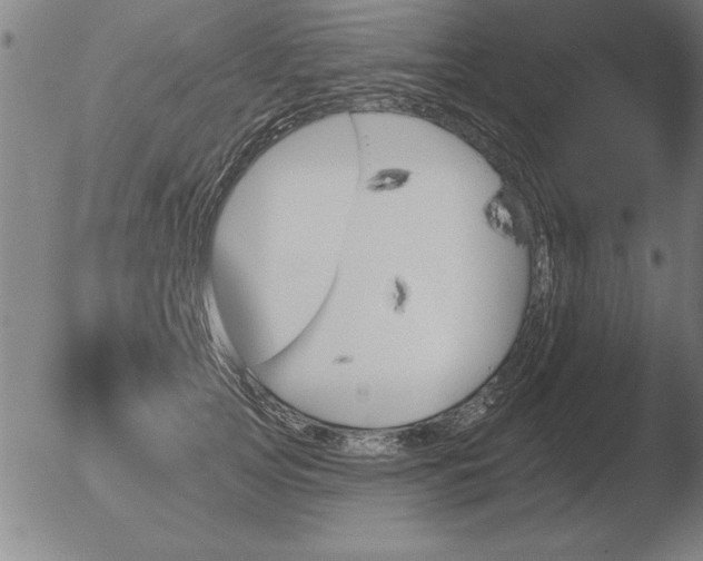 X0000051920753200507082054