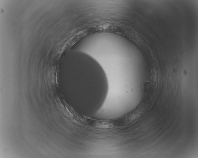 X0000051920754200507082055