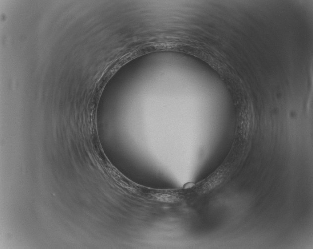 X0000051920755200507082055