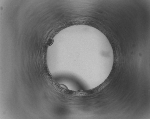 X0000051920758200507082055