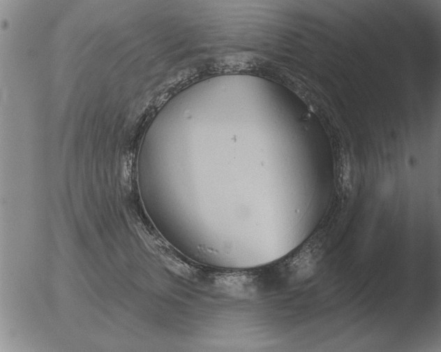 X0000051920759200507082055