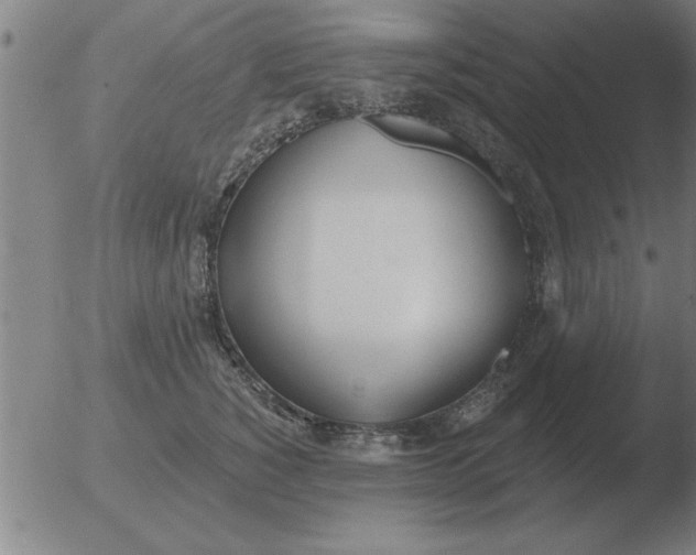 X0000051920760200507082055