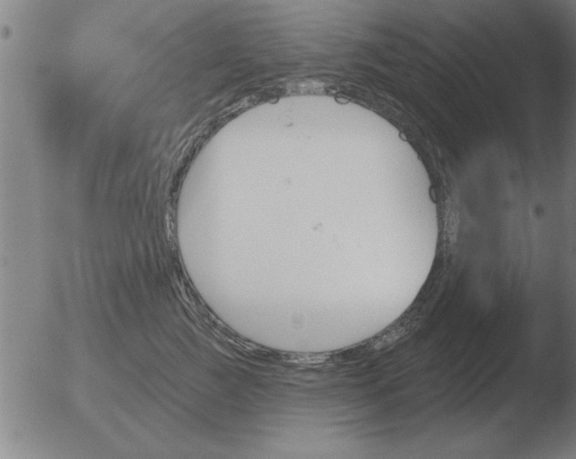 X0000051920761200507082055