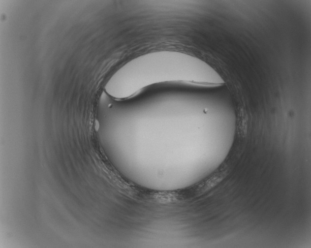 X0000051920762200507082055