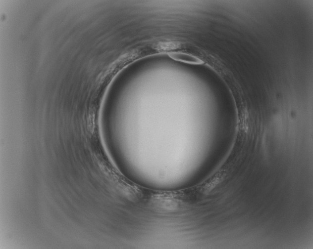 X0000051920763200507082055