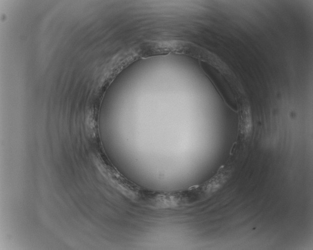 X0000051920764200507082055