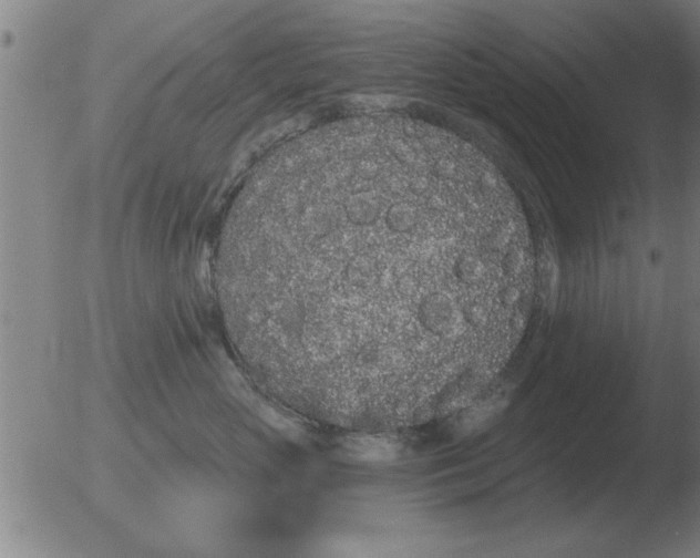 X0000051920765200507082055