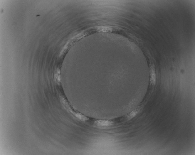 X0000051920766200507082055