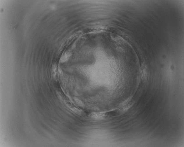 X0000051920767200507082055