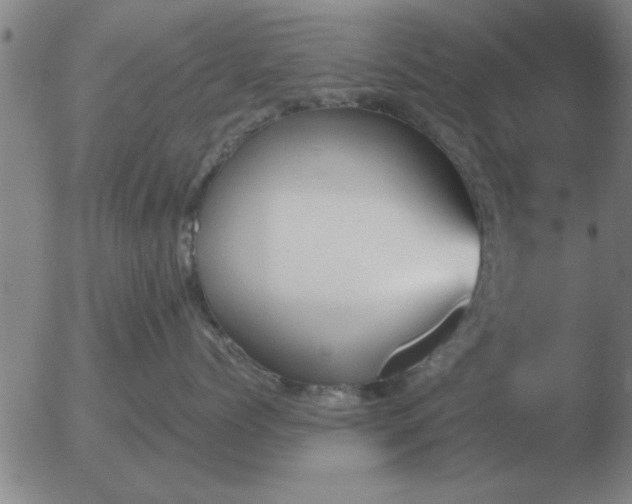 X0000051920768200507082055