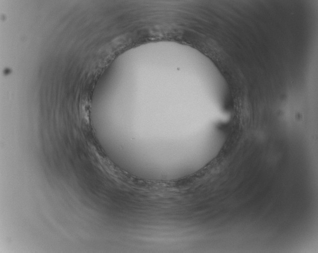 X0000051920770200507082054