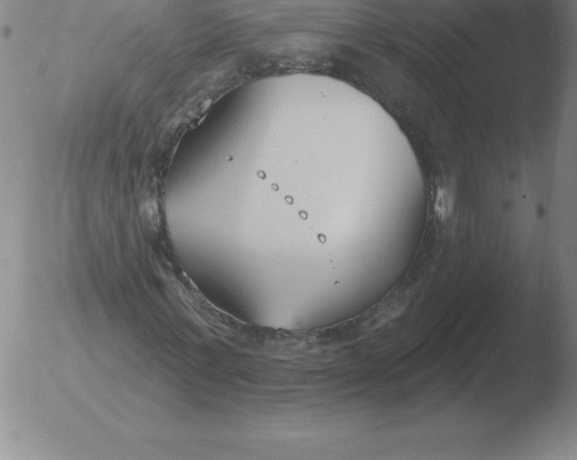 X0000051920771200507082054