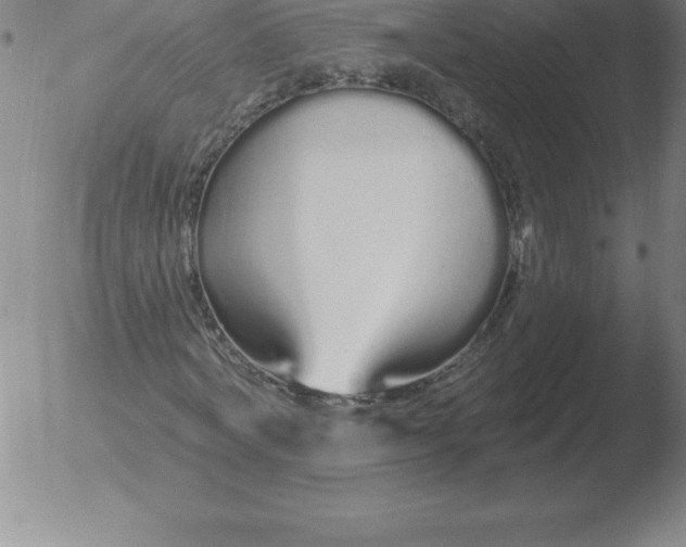 X0000051920772200507082054