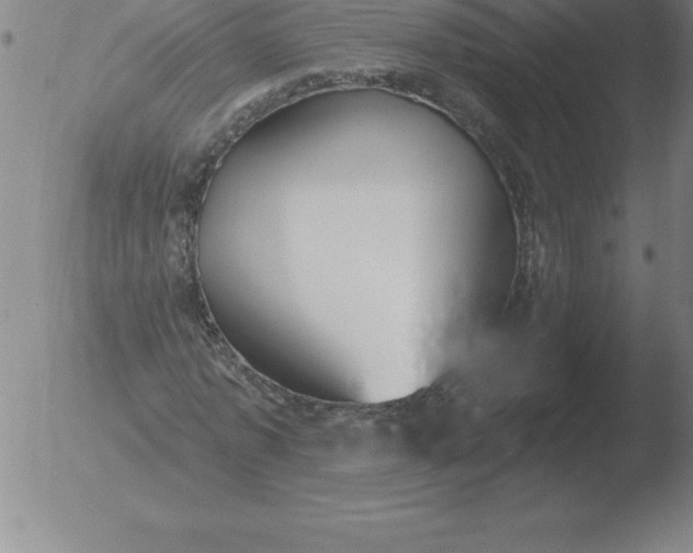 X0000051920773200507082054