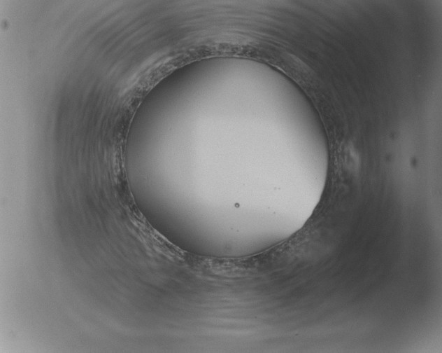 X0000051920774200507082054