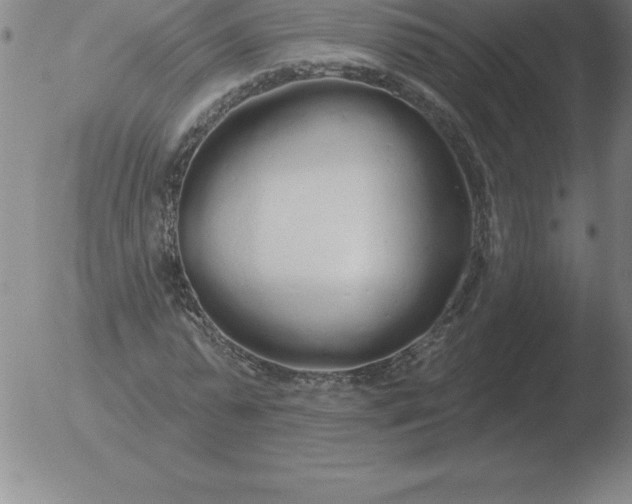 X0000051920775200507082054