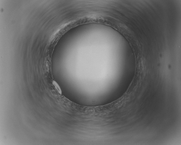 X0000051920776200507082054